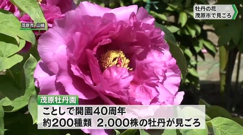 2023-4−13千葉テレビ